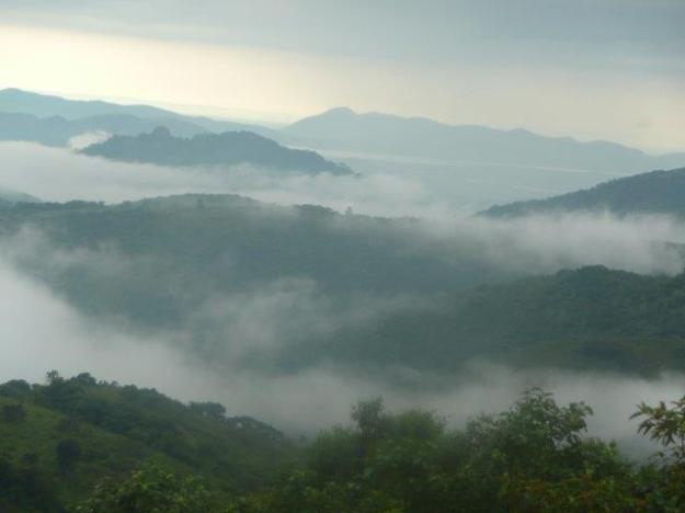 Rainy weather comes to the Bvumba